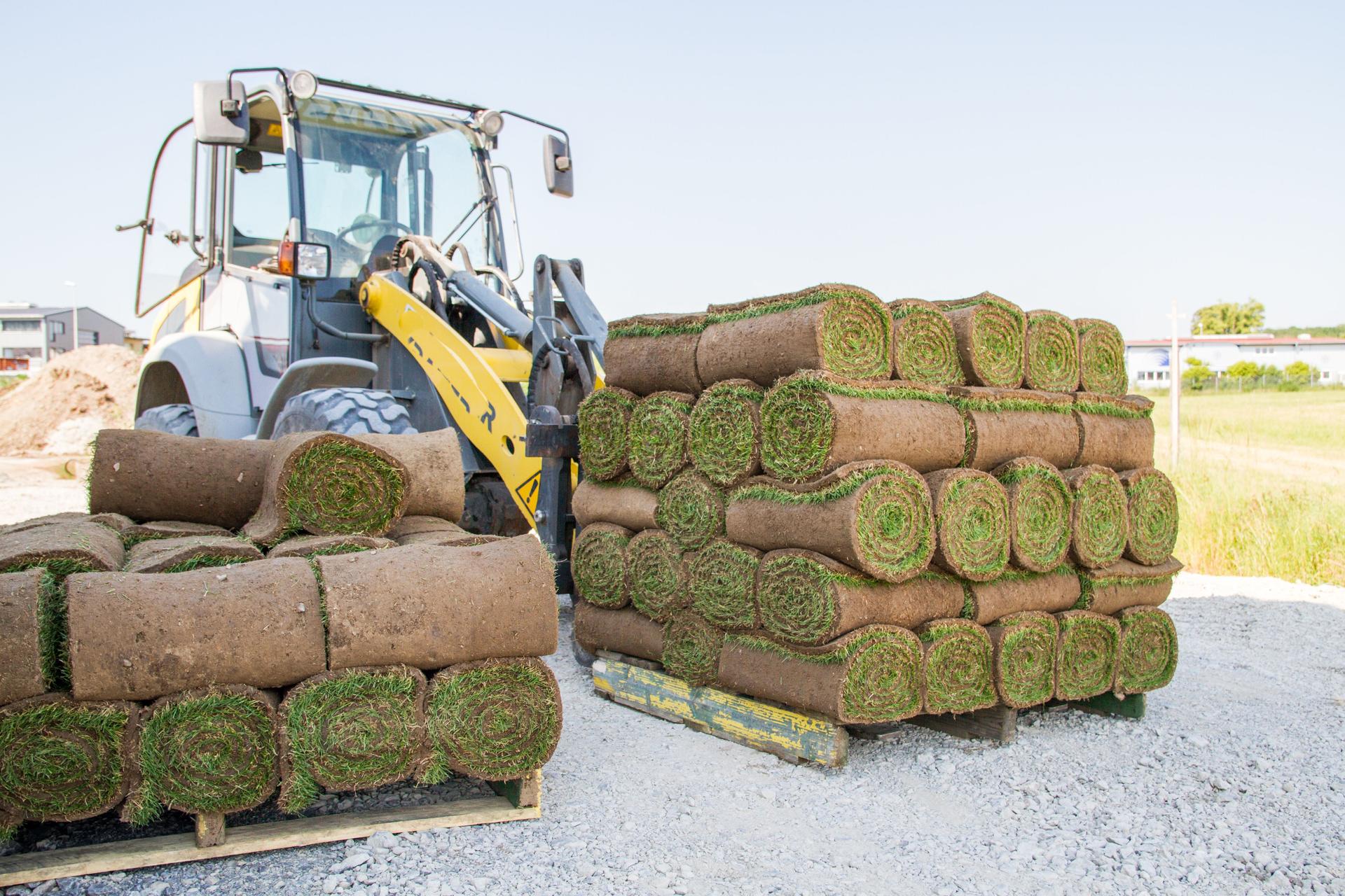 Ocean County Sod team installing native New Jersey tall fescue sod