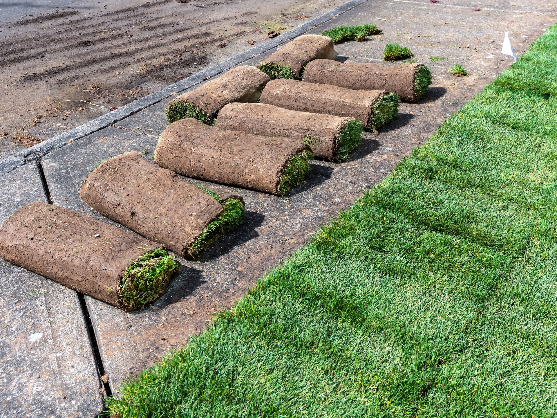 Fresh sod installed in Toms River NJ