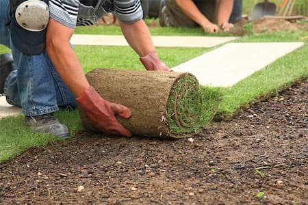 High-quality sod installation for residential properties in Toms River and Brick Township