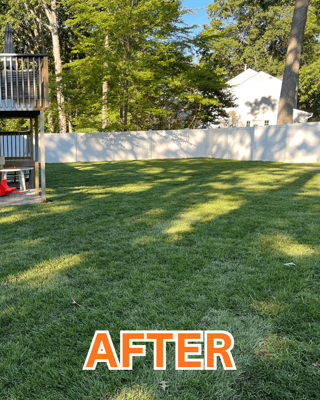 Backyard Transformation - After
