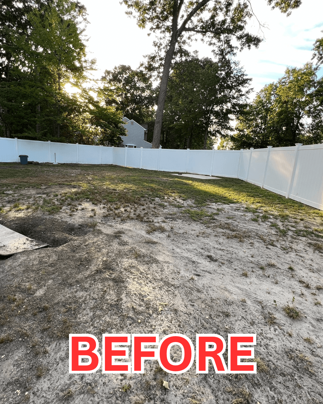 Backyard Transformation - Before