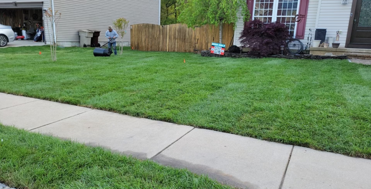 Fresh Lawn with Rolling