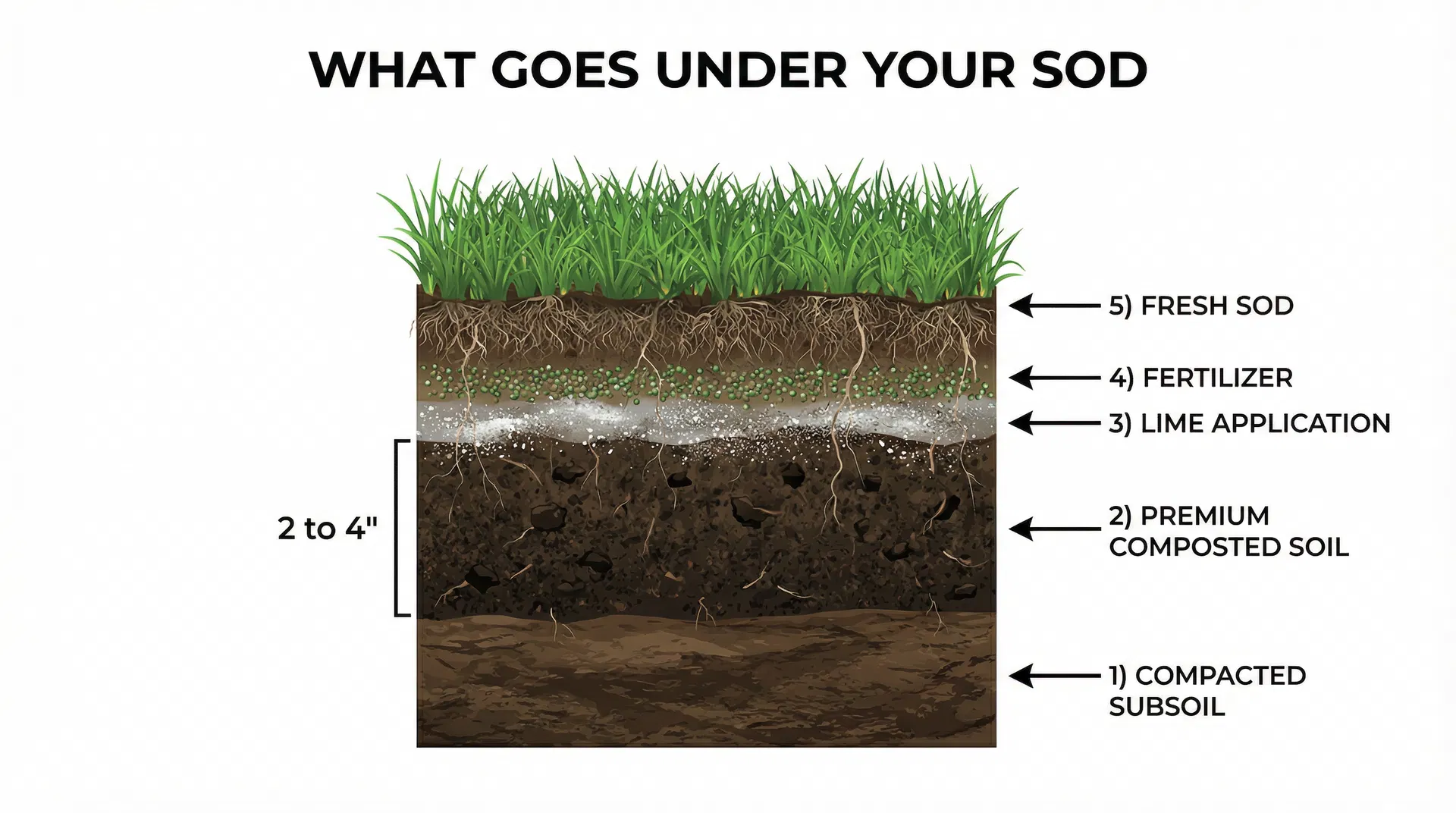 Fresh cut sod for sale in New Jersey - green grass pallets ready for delivery