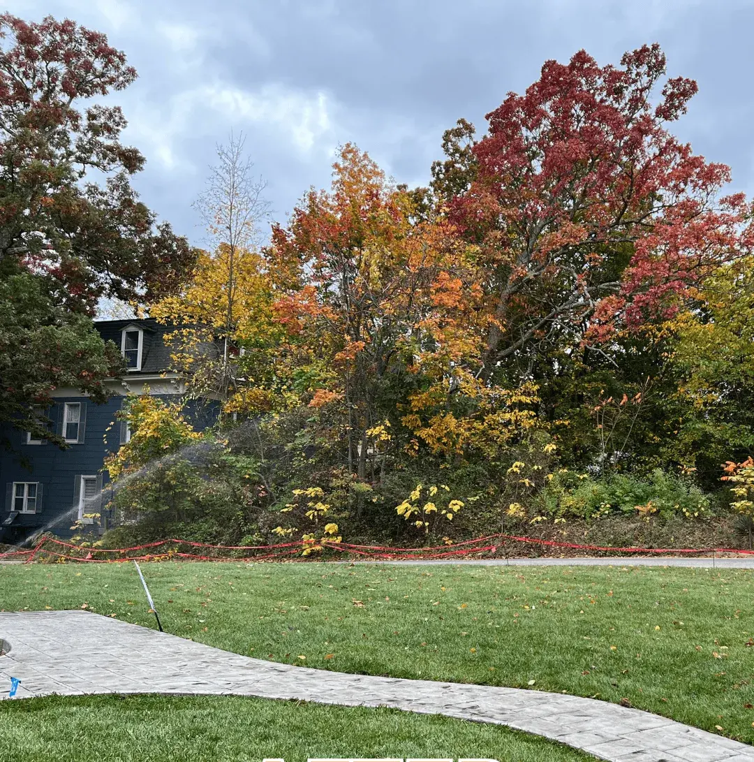 Best sod installation companies in Ocean County NJ - professional lawn installation results
