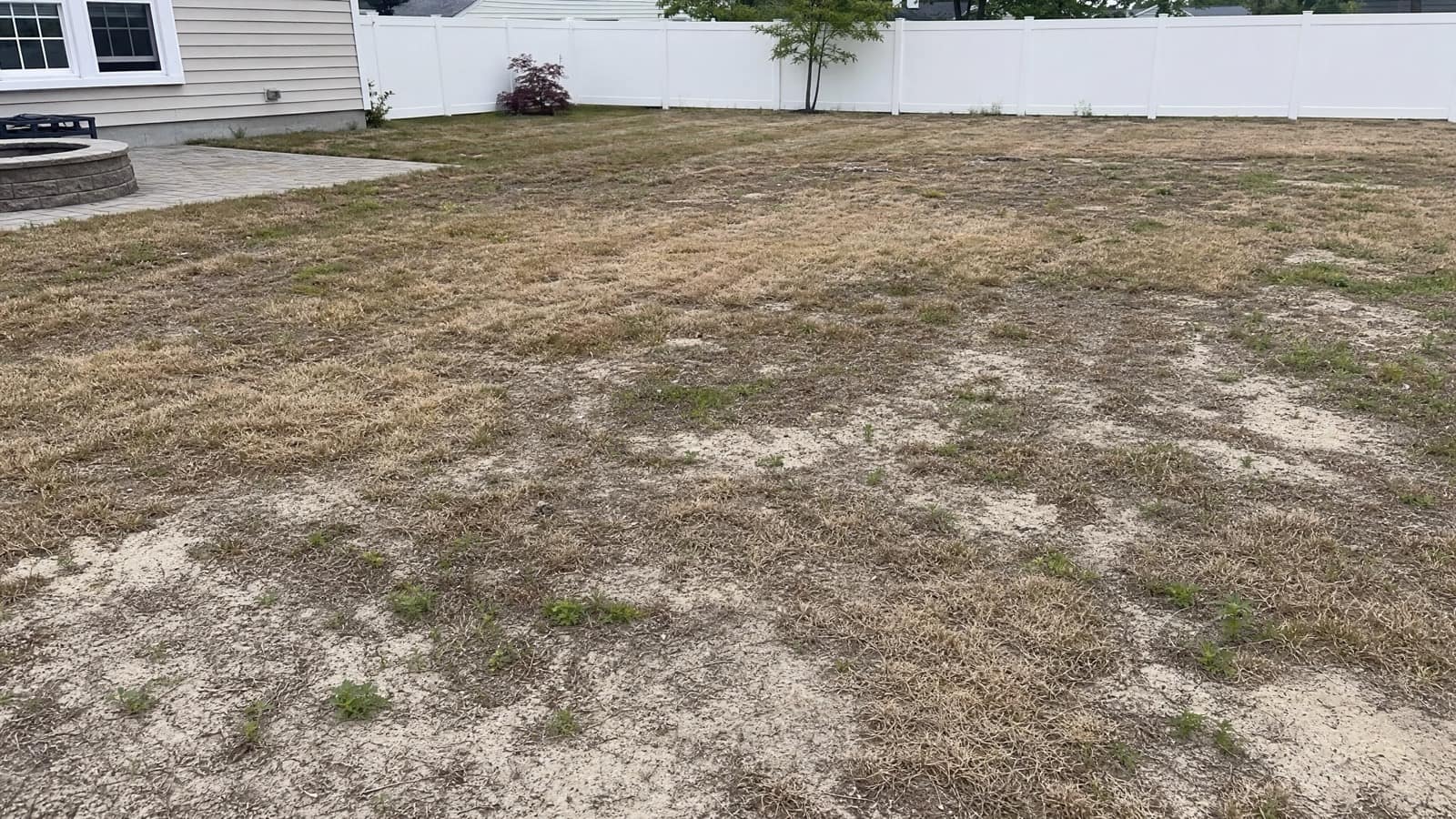 Failed sod installation 12 months later - dead patchy lawn with sandy soil showing through